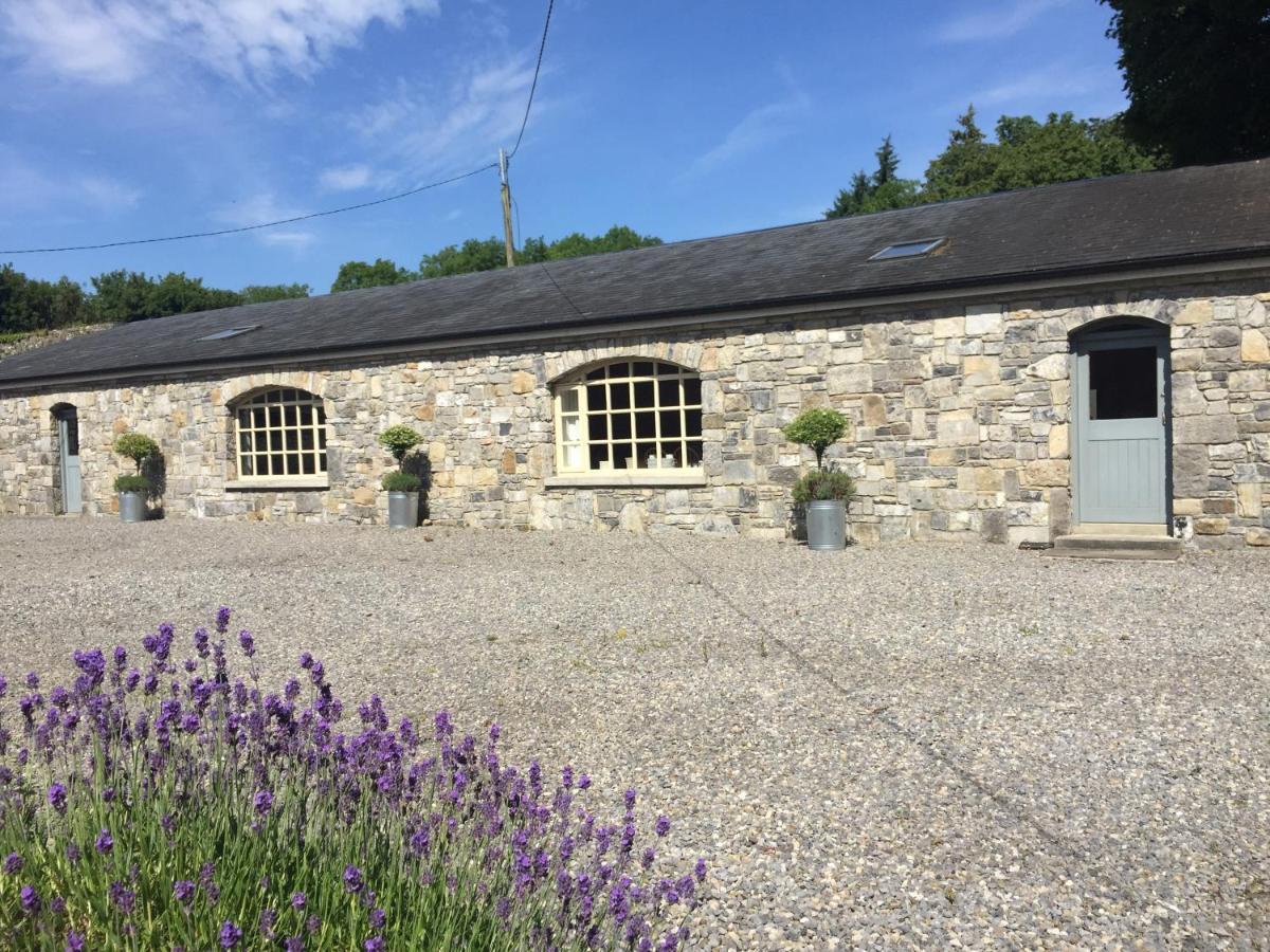 Clonalis House - Guesthouse Castlerea Экстерьер фото